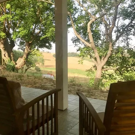 - Apis In Tabula Ostra